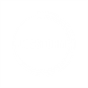Voxtorm Amplificadores